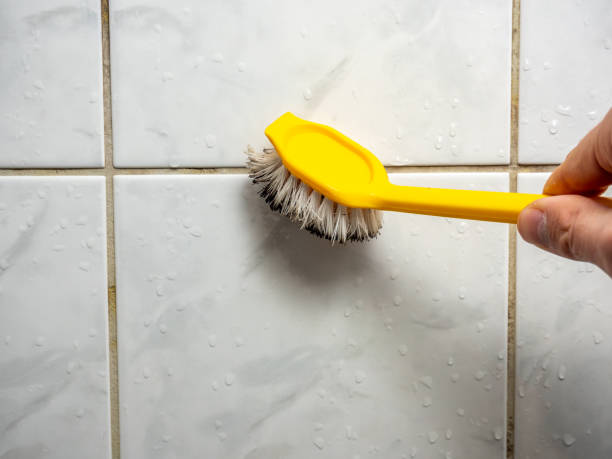Best Black Mold Removal  in Sevierville, TN