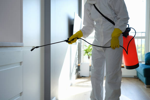 Best Professional Mold Removal  in Sevierville, TN